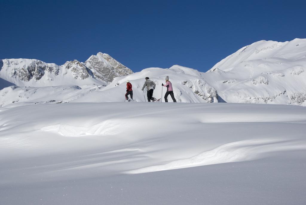Fernsicht Alpen-apartments Appartamento *